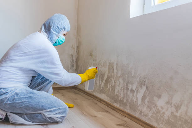 Mold inspector in Parlin performing thermal imaging