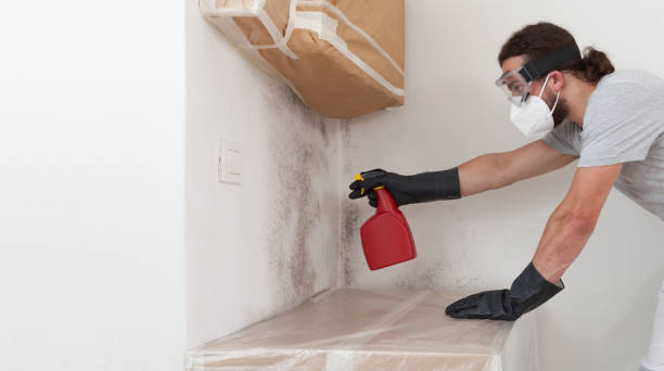 Attic Mold Remediation treatment on roof deck in Parlin
